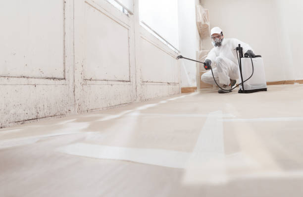 24/7 Emergency Mold Cleanup experts in North Brunswick, NJ
