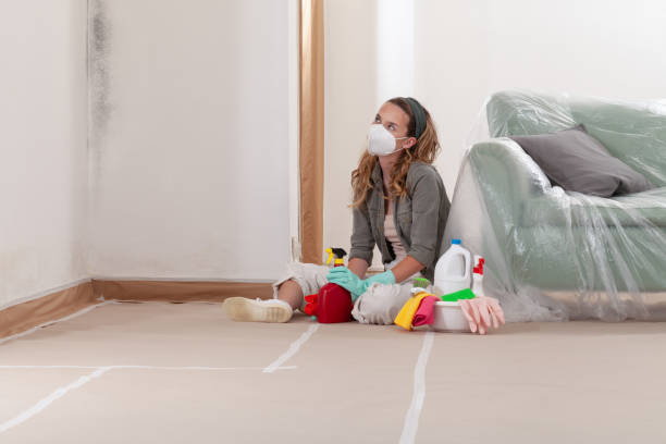 Reliable Mold Cleanup contractor in North Brunswick, NJ by WQB Mold Removal